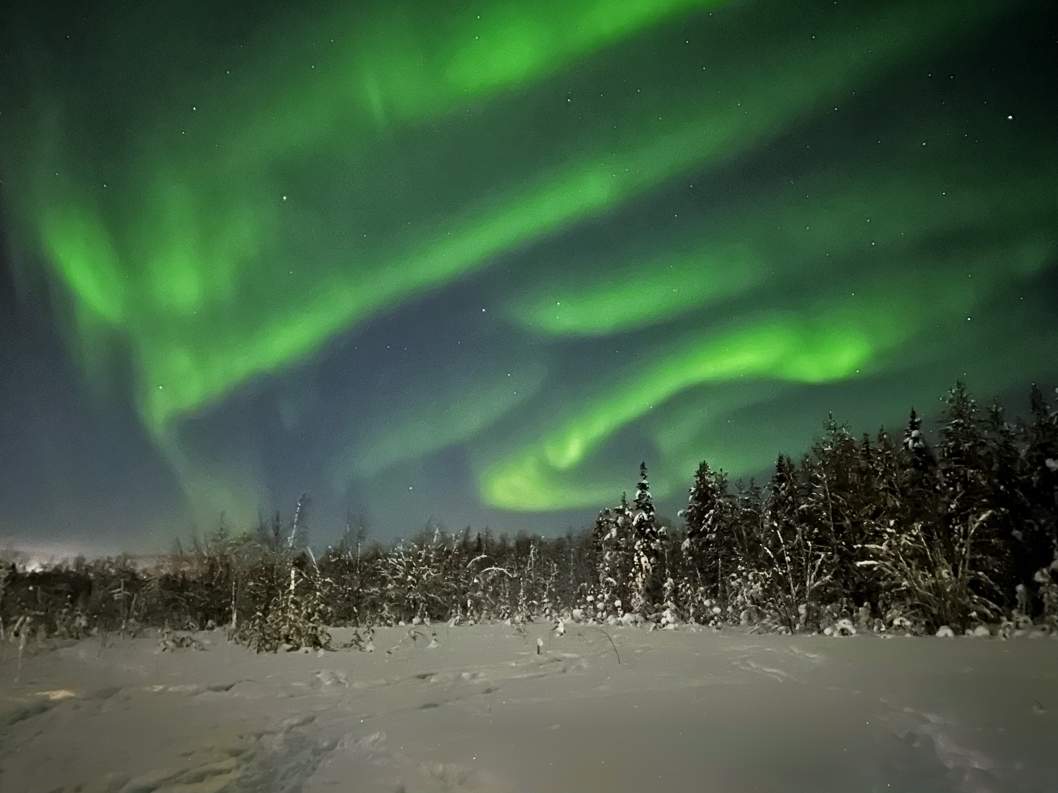Lapland aurora (iPhone)